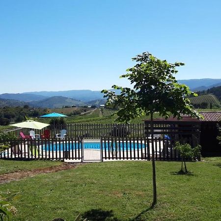 Gites "Entre Les Vignes" Tourreilles Bagian luar foto