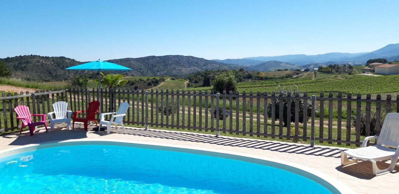 Gites "Entre Les Vignes" Tourreilles Bagian luar foto