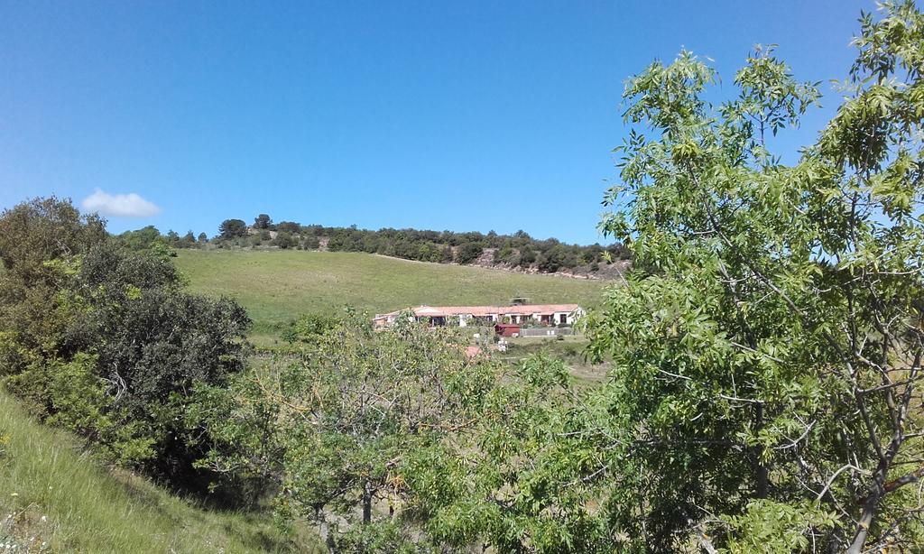 Gites "Entre Les Vignes" Tourreilles Bagian luar foto