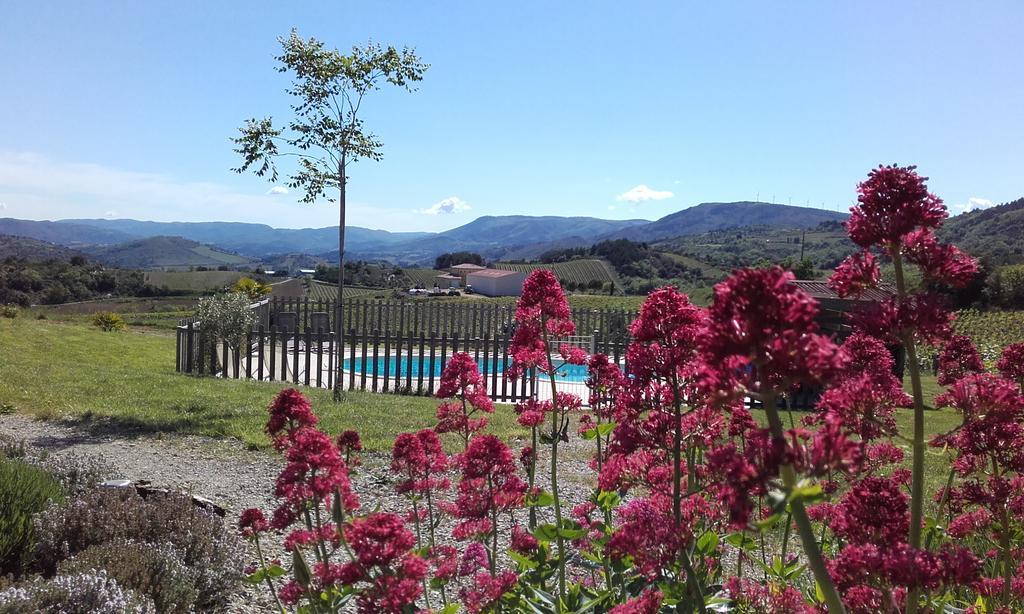 Gites "Entre Les Vignes" Tourreilles Bagian luar foto