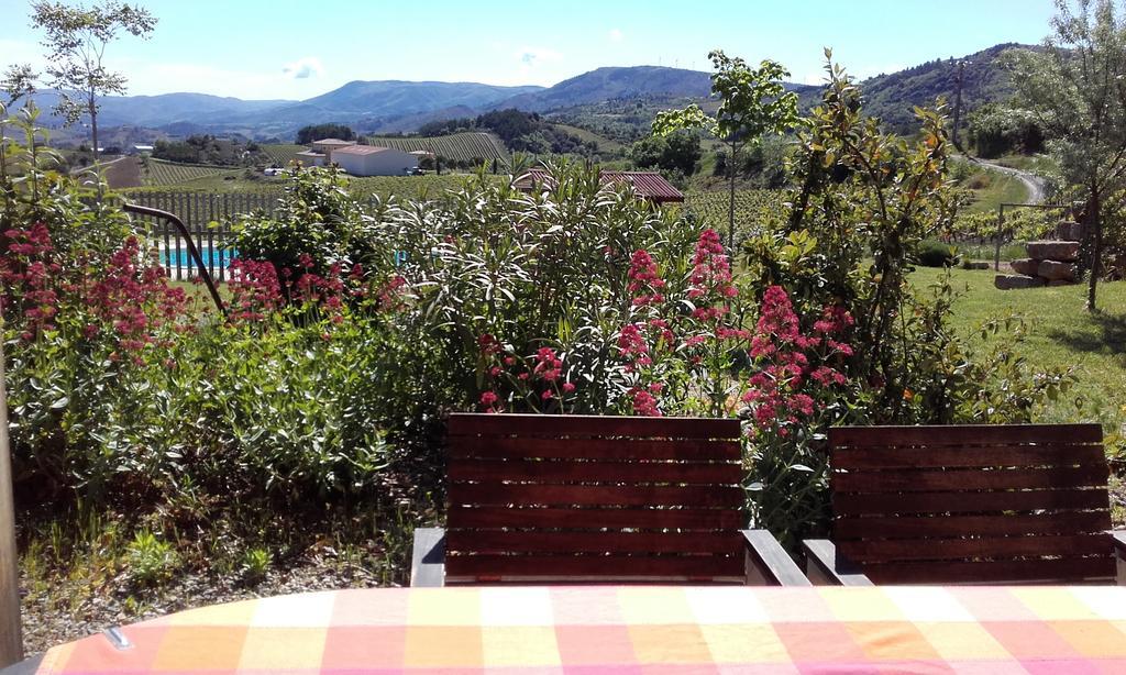 Gites "Entre Les Vignes" Tourreilles Bagian luar foto